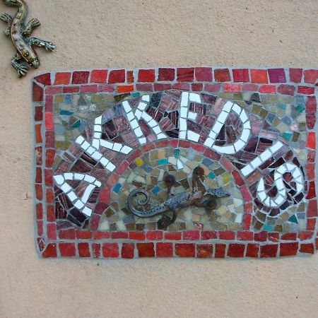 Akkedis At Artemis Lägenhet Franschhoek Exteriör bild