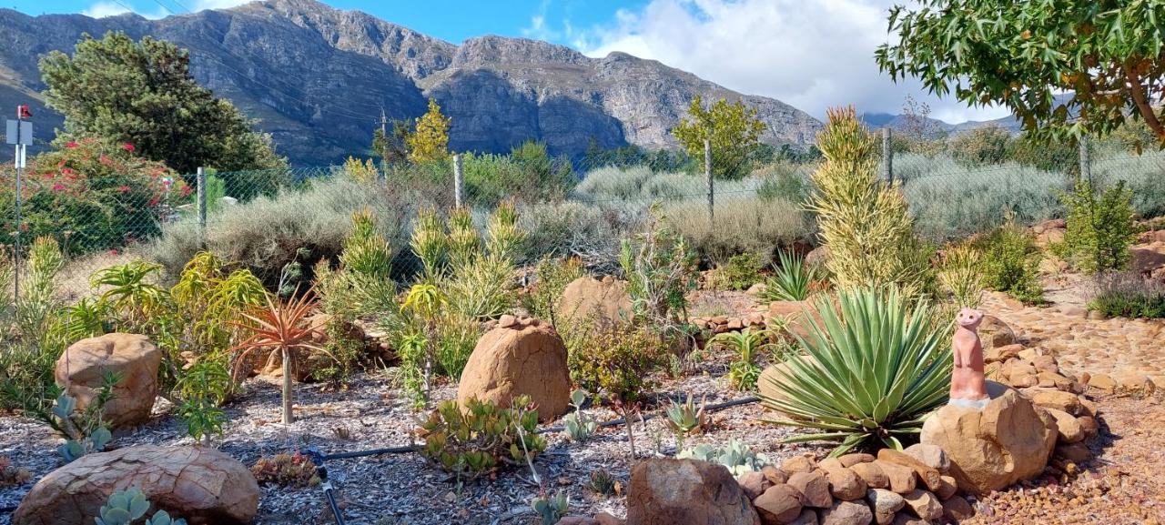 Akkedis At Artemis Lägenhet Franschhoek Exteriör bild