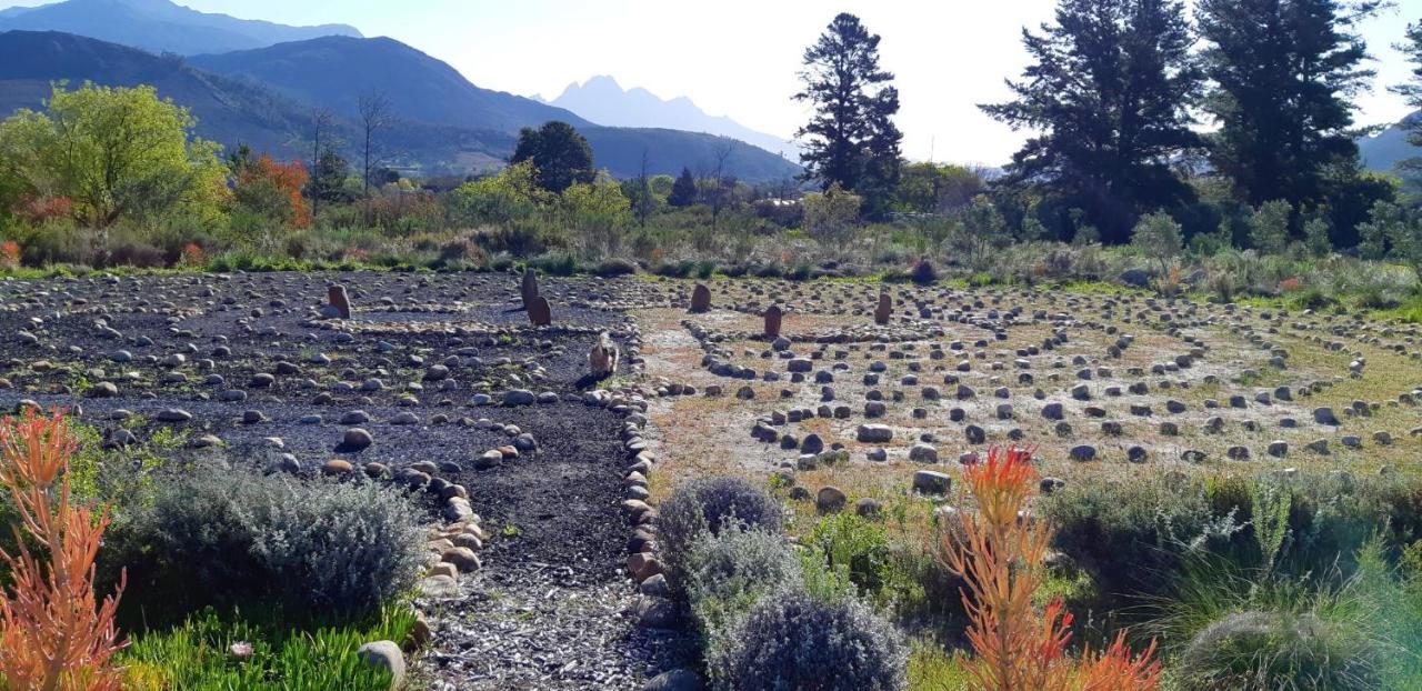 Akkedis At Artemis Lägenhet Franschhoek Exteriör bild